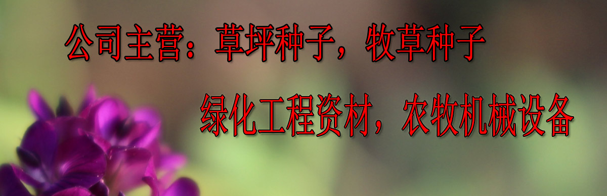 山東立國(guó)農(nóng)業(yè)